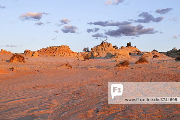 Evening atmosphere in the fossilised sand dunes of the Mungo National Park  New South Wales  Australia