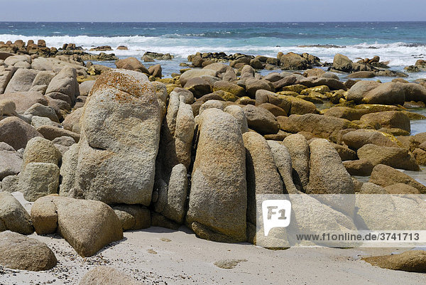 Rock formation  Friendly Beaches between Bicheno and Coles Bay  Tasmania  Australia