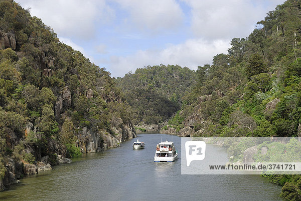 Sightseeing boats on the Esk River near Launceston  Tasmania  Australia