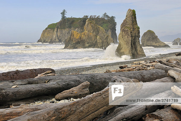 Felsformationen und Treibholz an der Pazifikküste  Ruby Beach  Olympic Peninsula  Washington  USA