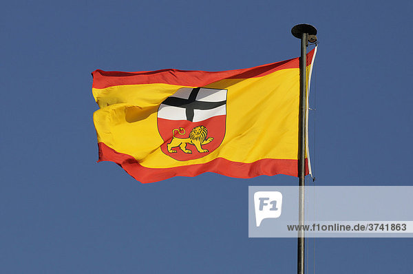 Fahne von Bonn im Wind  Bonner Löwe
