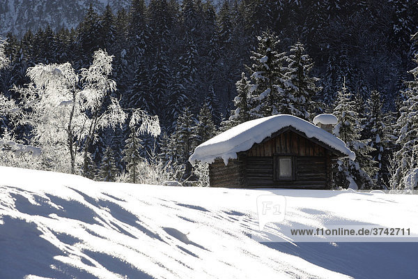 Verschneite Hütte  Wetterstein Gebirge  Alpen  Oberbayern  Bayern  Deutschland  Europa