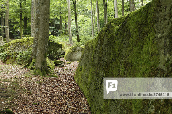 Lange Steine bei Riedenburg  Rhön  Unterfranken  Bayern  Deutschland  Europa