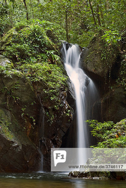 Wasserfall im Regenwald des Cockscomb Basin Wildlife Sanctuary  Belize  Mittelamerika
