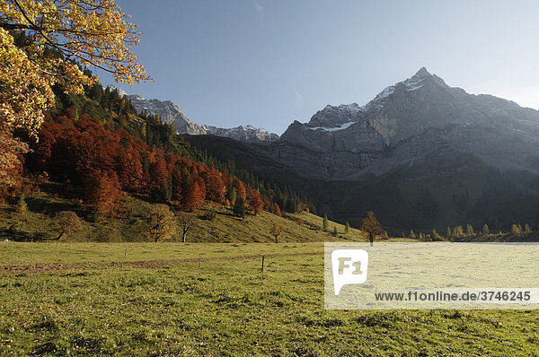 Berggipfel mit herbstlich gefärbtem Wald  Großer Ahornboden in der Eng  Risstal  Österreich  Europa