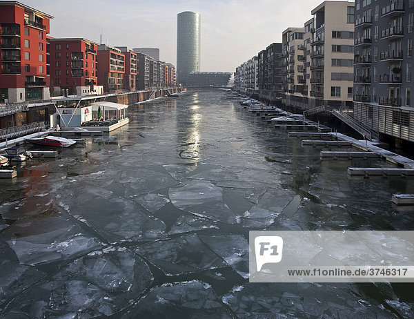 Eis auf dem Main im Westhafen Frankfurt  Frankfurt  Hessen  Deutschland  Europa
