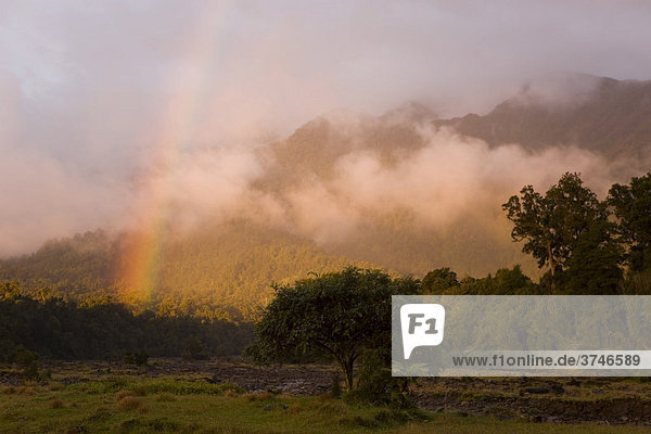 Regenbogen in der Abenddämmerung  Copland Track  West Coast  Südinsel  Neuseeland