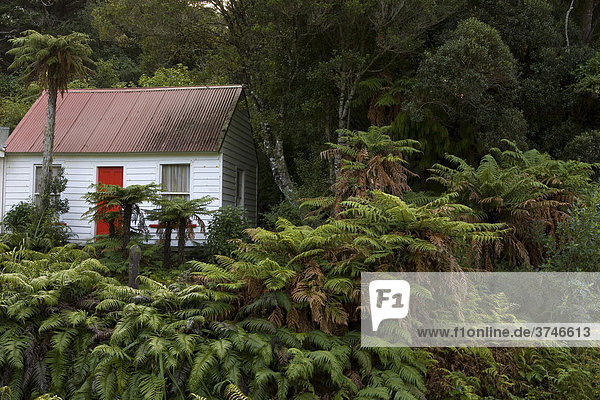 Einsame Holzhütte im Regenwald von Ulva Island  Neuseeland