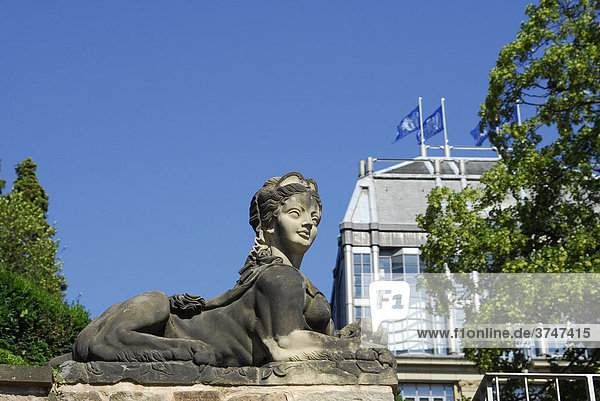 Sphinx vor dem Schloss Saarbrücken  Saarbrücken  Saarland  Deutschland  Europa