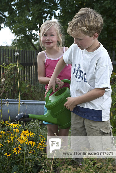 Girl  5  and boy  8  watering flowers in a garden