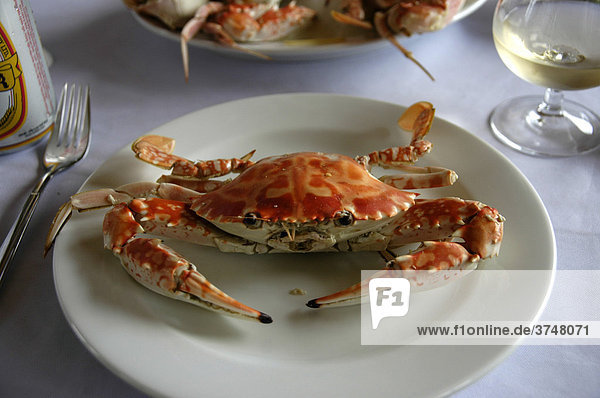 Red crab on a white plate served with a glass of white wine  Ha Long Bay  Vietnam  Southeast Asia