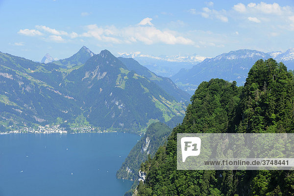 Sicht vom Bürgenstock auf den Vierwaldstättersee und die Alpen  Zentralschweiz  Schweiz  Europa