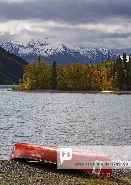 Herbstfarben  umgedrehtes Kanu  Kathleen See  hinten St. Elias-Gebirge  Kluane Nationalpark  Yukon Territory  Kanada  Nordamerika
