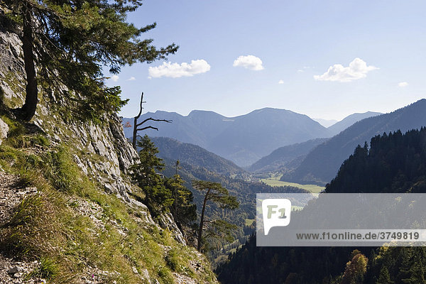 Blick vom Kofel nach Osten  Ammergebirge  Ammergauer Alpen  Oberbayern  Bayern  Deutschland  Europa