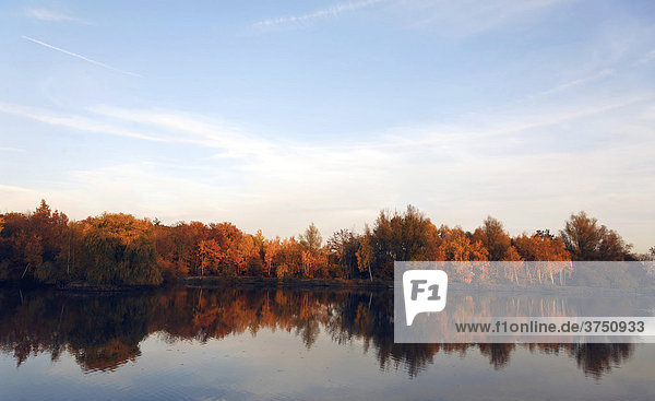 Autumn colours reflected on a fishing pond  Offenbach  southern Palatinate region  Rhineland-Palatinate  Germany  Europe