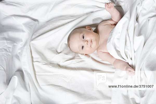 Baby  4 Monate alt  in Decke gewickelt