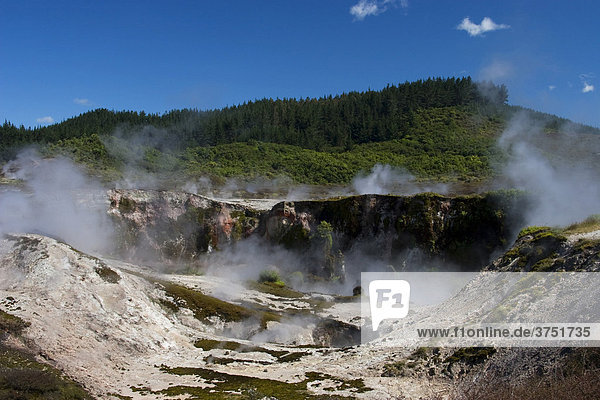 Craters of the Moon  geothermal site  Rotorua  North Island  New Zealand  Oceania