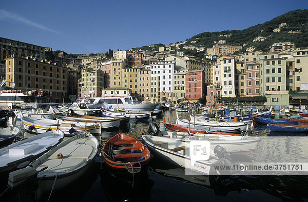 Hafen und Altstadt  Camogli  Ligurien  Riviera  Italien