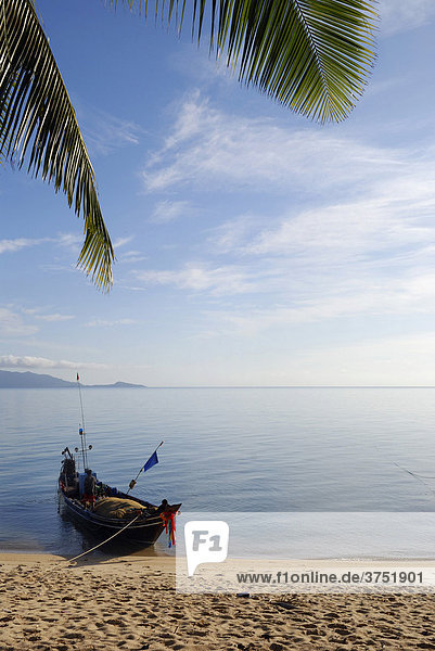 Fischerboot am Strand und Palmblätter mi Morgenlicht  Ferieninsel Kho Samui  Thailand