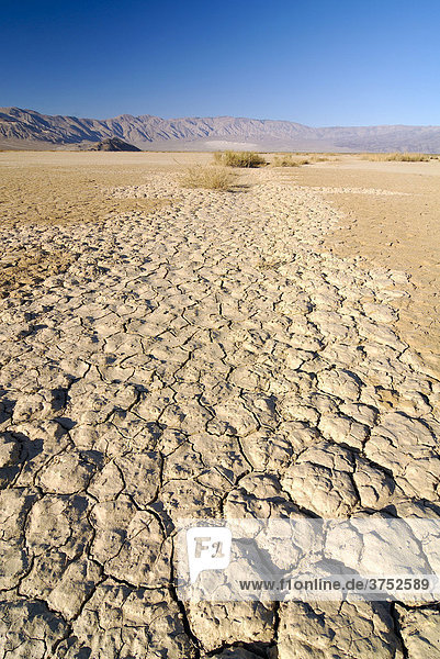 Desiccation cracks arid loam soil at Stovepipe Wells in Death Valley National Park California USA North America