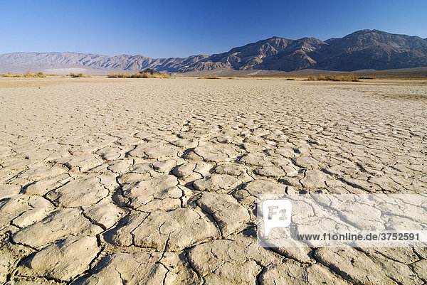 Desiccation cracks arid loam soil at Stovepipe Wells in Death Valley National Park California USA North America