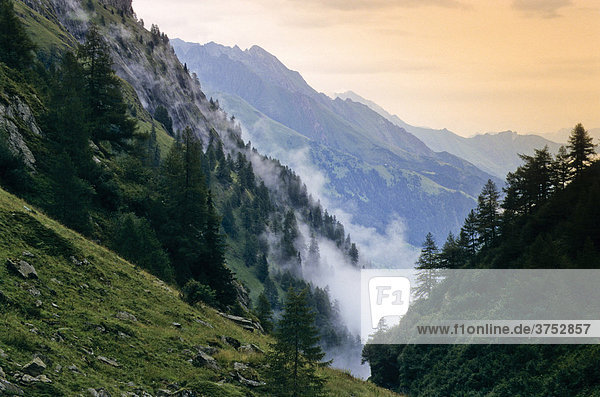Wolkenverhangenes Tal  Stubaier Alpen  Tirol  Österreich  Europa