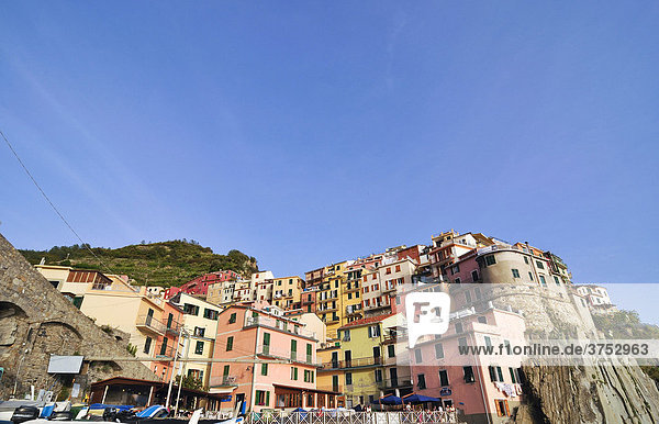 Manarola  Liguria  Cinque Terre  Italy  Europe