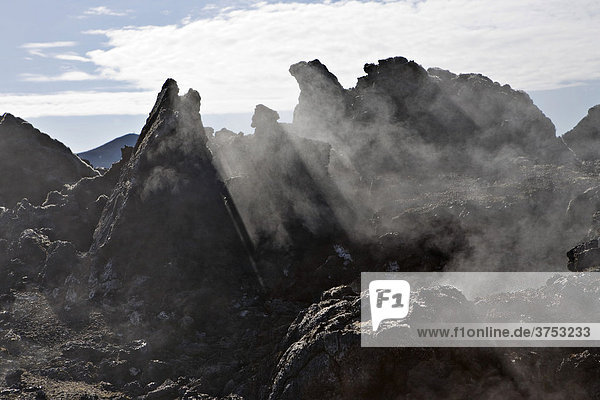 Rauchendes Lavafeld vom Ausbruch im Jahre 1984  Vulkangebiet der Krafla  Myvatn  Nordisland  Island
