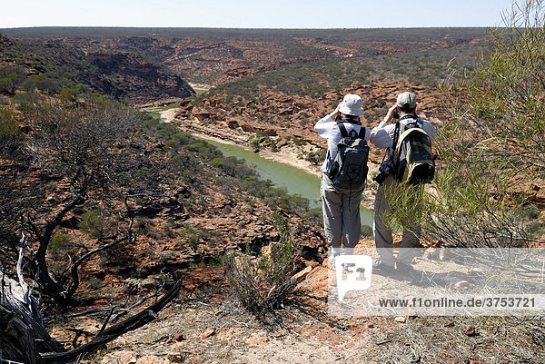 Hikers with field glasses overlooking the Murchison River  Kalbarri National Park  Western Australia  Australia