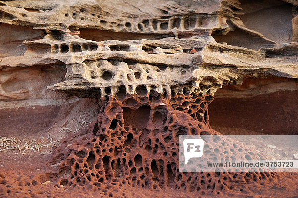 Sandstone structure  Eagle Gorge  Kalbarri Coast National Park  Northern Territory  Australia