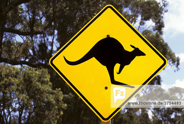 Kangaroo crossing sign  Queensland  Australia