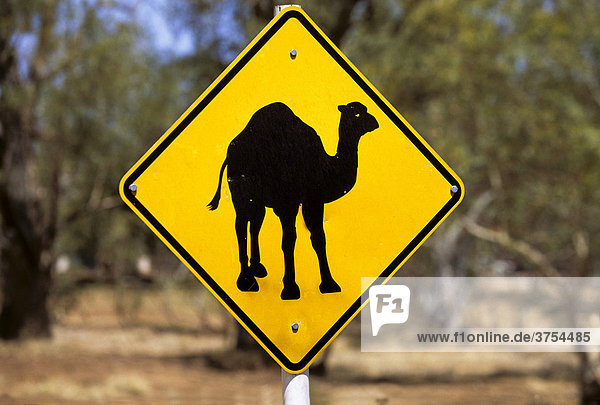 Dromedary Camel crossing sign  Northern Territory  Australia