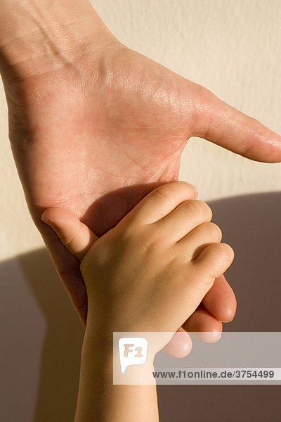 Adult's and child's hands