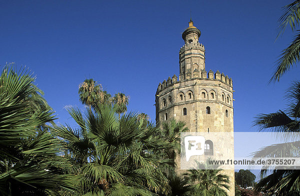 Torre del Oro (Goldturm)  Sevilla  Andalusien  Spanien