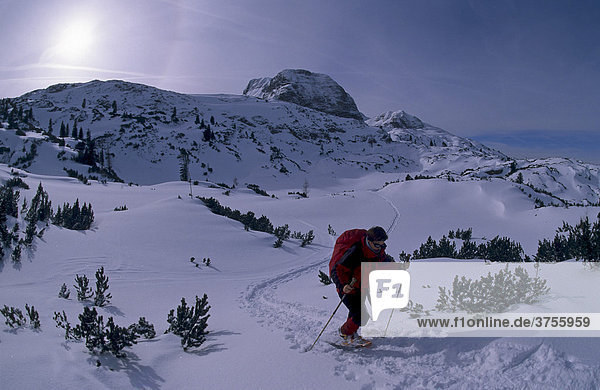 Schneeschuhgeherin vor dem Massiv des Hohen Dachstein 2995m Steiermark Österreich Europa