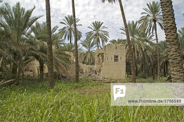 Old loam house near fort Nakhl Oman