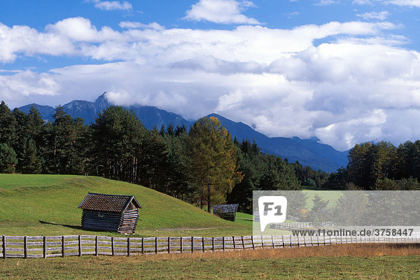 Cultivated landscape  Mieminger Plateau  Tyrol  Austria  Europe
