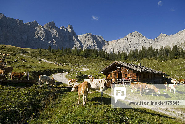Ladiz-Alm im Karwendel-Gebirge  Karwendel-Gebirge  Tirol  Österreich  Europa