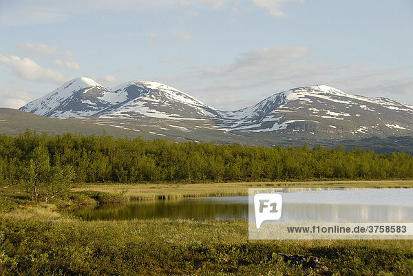 Unberührte weite Fjällandschaft mit See  Wald und schneebedeckten Bergen  Abisko Nationalpark  Lappland  Schweden