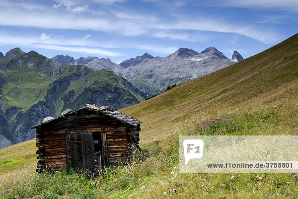 Old cabin with Allgaeu Alps in background  Holzgau  Lech Valley  Tirol  Austria  Europe