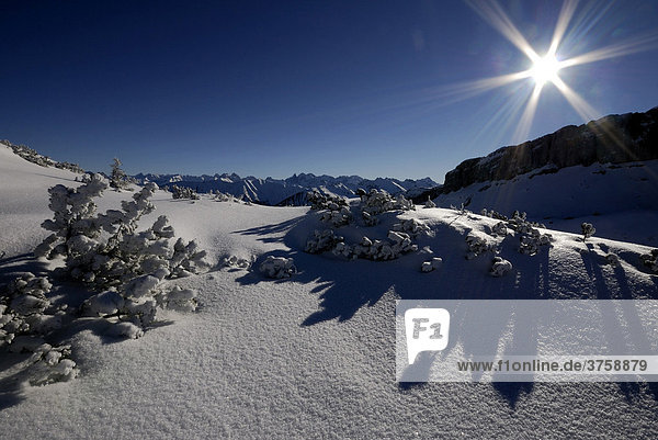 Schneelandschaft mit Allgäuer Alpen Kleinwalsertal Vorarlberg Östereich