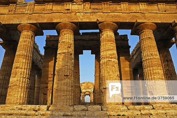 Paestum  Monument griechischer Baukunst  Provinz Salerno  Kampanien  Süditalien  Italien
