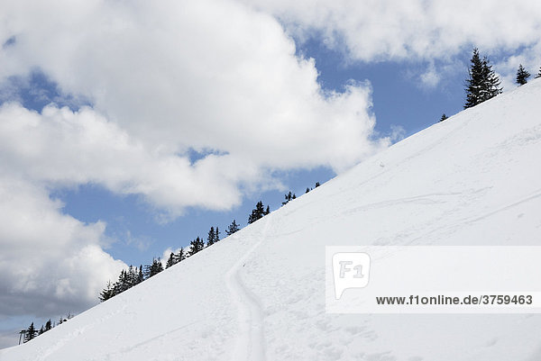 Aufstiegspur von Skitourengehern im Hochgebirge  Vogelsang  Bayern  Deutschland  Europa