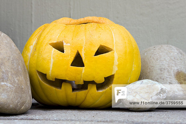Carved pumpkin for Halloween jack-o-lantern