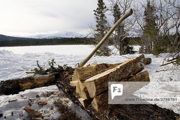 Feuerholz und Axt  Yukon Territory  Kanada  Nordamerika