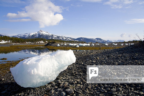 Eisblöcke und Eisberge auf dem Ufer  Prince William Sound  Alaska  USA