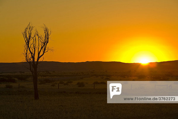 Sonnenuntergang in der Namibwüste Namibia  Afrika