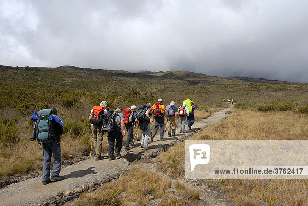 Group of trekkers on Rongai Route Kilimanjaro Tanzania