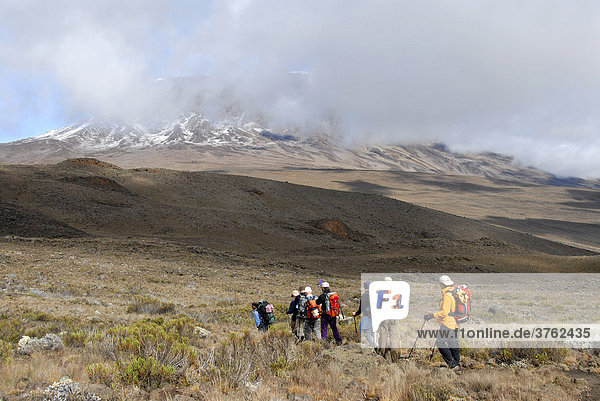 Group of trekkers Kikelewa Route Kilimanjaro Tanzania
