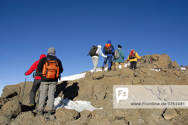 Group of mountaineers climbs up Uhuru Peak crater rim Kilimanjaro Tanzania